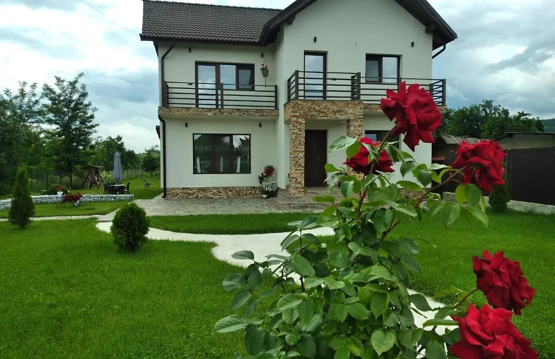 Pensiunea Casa Nușa-1